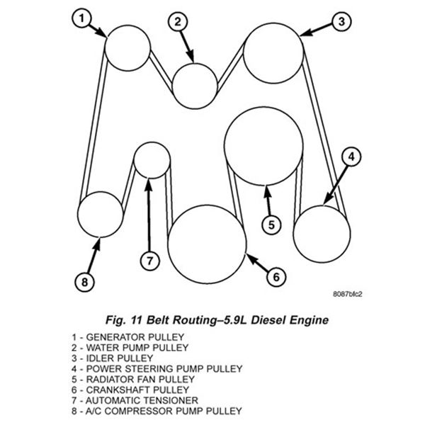 Cummins Belt Diagram